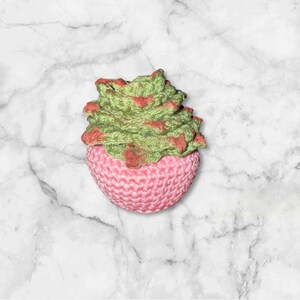 Plante succulente au crochet