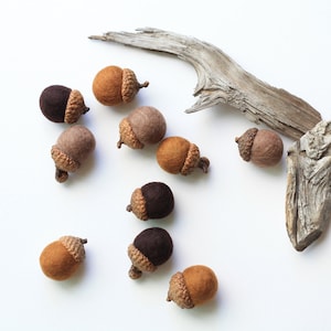Felted Acorns - set of 10 in autumn browns