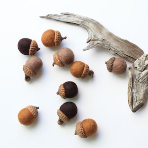 Felted Acorns set of 10 in autumn browns image 1