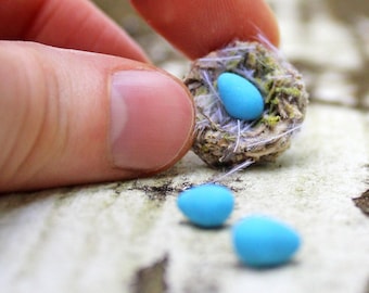 Miniature Robin's Nest