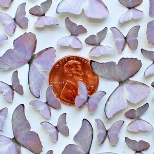 Puede incluir: Una colección de pequeñas decoraciones de mariposas de color lavanda dispersas sobre una superficie blanca. Se incluye una moneda para referencia de tamaño. Las mariposas tienen una apariencia delicada y translúcida, con un degradado de color de lavanda claro a más oscuro.