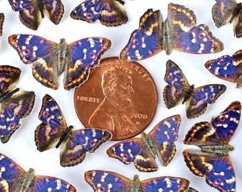 Miniature Paper Butterflies - For Craft, DIY, and Dollhouse  - Woodland Purple