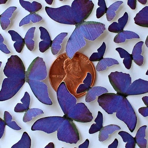 Puede incluir: Una colección de pequeños recortes de mariposas moradas dispersos sobre una superficie blanca. Una moneda de cobre se encuentra en el centro para dar escala. Las mariposas varían en tamaño y tienen una apariencia texturizada, con bordes morados más oscuros y centros morados más claros.