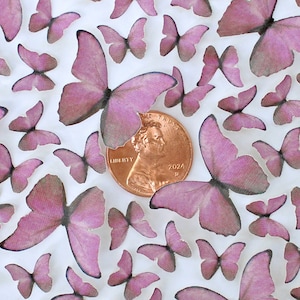 Puede incluir: Una colección de decoraciones de mariposas rosas de varios tamaños dispersas sobre una superficie blanca. Una moneda de cobre con la inscripción "Liberty" y el año 2024 está en el centro. Las mariposas tienen una apariencia delicada y translúcida.