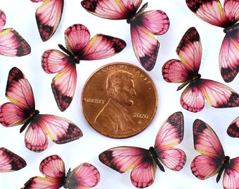 Miniature Paper Butterflies - For Craft, DIY, and Dollhouse  - Woodland Pink