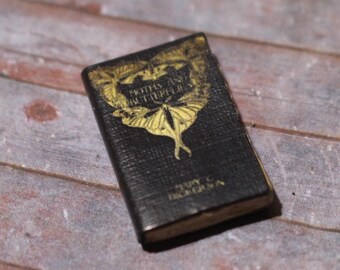 Dollhouse Miniature Book --- Moths & Butterflies