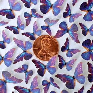 Miniature Realistic Paper Morpho Butterflies for Dollhouses, Jewelry Making + DIY - Choose Your Quantity & Wingspan