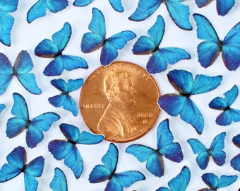 Miniature Realistic Paper Morpho Butterflies - for Dollhouses, Jewelry Making + DIY  - Choose Your Wingspan & Quantity