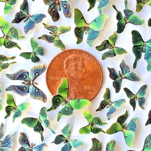 Miniature Realistic Paper Luna Moths for Dollhouses, Jewelry Making + DIY - Choose Your Quantity & Scale