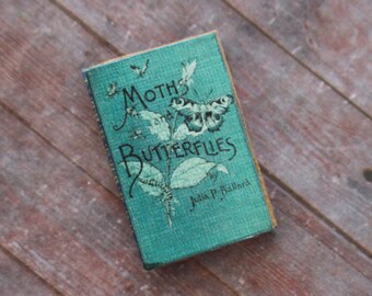 Dollhouse Miniature Book --- Moths & Butterflies