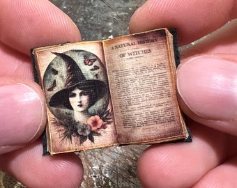 May include: Miniature open book with a black cover and aged pages. The left page features a witch in a hat, butterflies, and flowers. The right page has the text "A NATURAL HISTORY OF WITCHES".