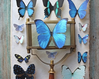 Assorted Realistic Blue Butterflies - Paper or Sticker, Pre-Cut, Choose Your Quantity - Photo Props, Home Decor, Party Favor