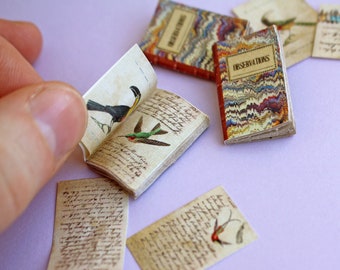 Miniatur Vogel Skizzenbücher