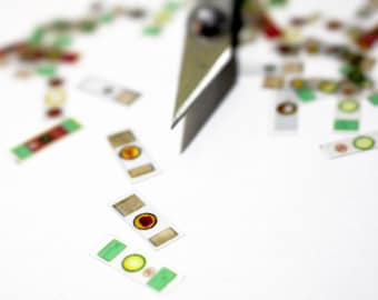 Miniature Microscope Slides: Dollhouse Science Lab Curio