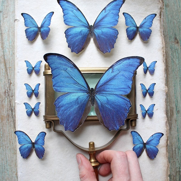 Realistic Morpho Butterflies - Paper or Sticker - Choose Your Size & Quantity, Pre-Cut - Photo Props, Home Decor, Party Favor