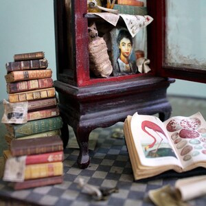 May include: Miniature antique cabinet with red and dark brown finish, glass door, and interior shelves filled with tiny books, bottles, and a portrait. A stack of miniature books and an open book with a flamingo illustration are in the foreground.