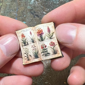 May include: A miniature open book featuring botanical illustrations of various flowers. The pages display detailed drawings in shades of red, orange, and green, set against a cream-colored background. The book is held between two fingers.