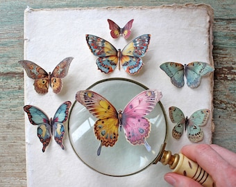 Antique Paper Butterflies - 7-Piece Set, Pre-Cut, Sticker or Paper- Photo Props, Home Decor, Party Favor