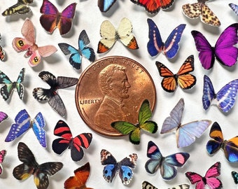 Miniature Realistic Paper Butterflies for Dollhouses, Jewelry Making + DIY  - Choose Your Quantity - Various Species & Colors