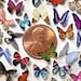 see more listings in the Butterflies Mini section