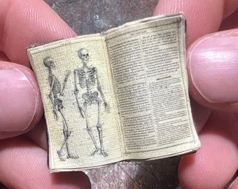 Handmade Miniature Open Book --- Two Human Skeletons