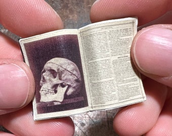 Handmade Miniature Open Book --- Human Skull