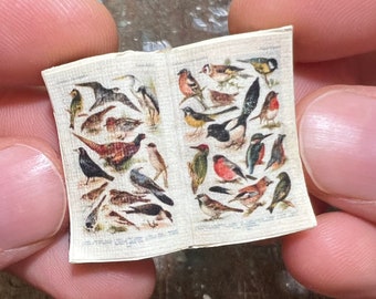 Handgemaakt miniatuur open boek: vogelsillustratie, poppenhuisdiorama
