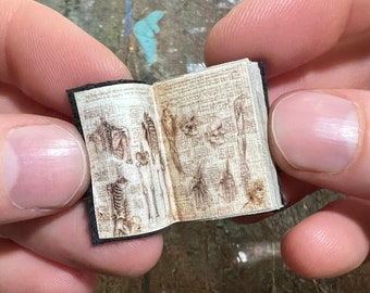 Handmade Miniature Open Book --- da Vinci Anatomical Sketches