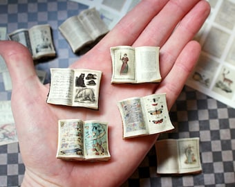 DIY Miniature Antique Book Kit: Dollhouse Library (80 Covers)