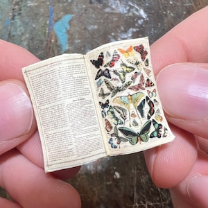 Miniatur Schmetterlingsbuch - Naturforscher-Requisite im Maßstab 1:12 • Antiker Lepidoptera-Anleitung für das Puppenhaus • Vintage offenes Buch mit Insekten