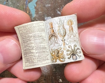 Handmade Miniature Open Book --- Octopus