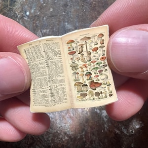 Handmade Miniature Open Book --- Mushrooms