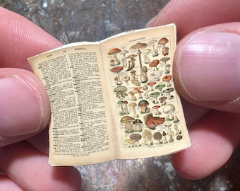 Handgemaakt miniatuur open boek: paddestoelillustraties