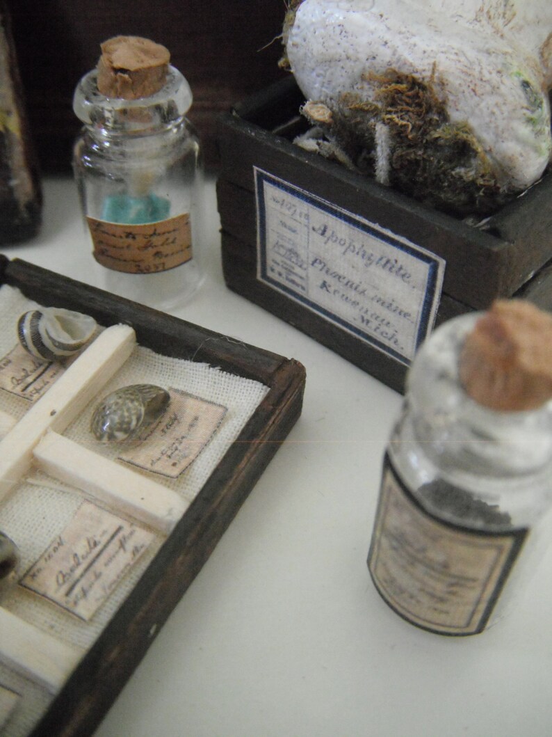 miniature specimen labels etsy