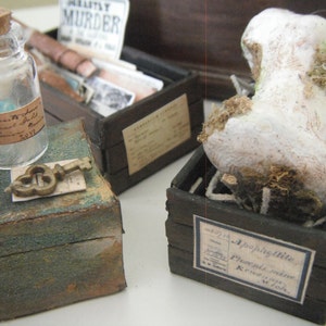 Miniature Specimen & Apothecary Labels