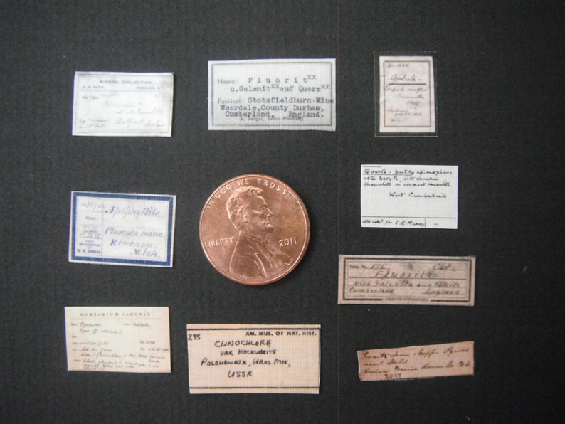 miniature specimen labels etsy