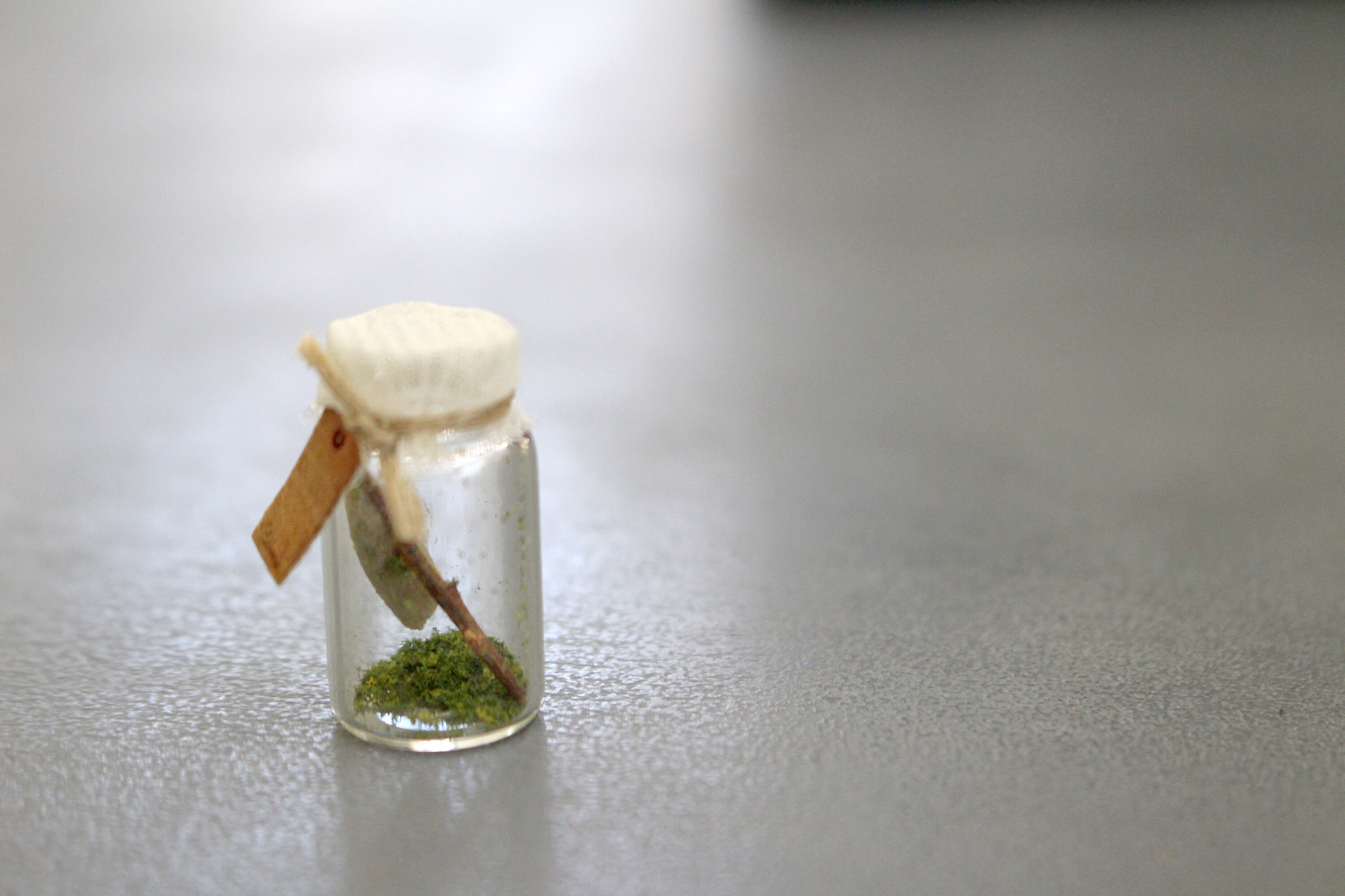 Mini Cocoons Miniature Cocoon in a Jar - Etsy