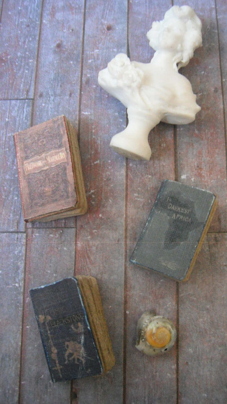 Dollhouse Miniature Dusty Old Books image 4