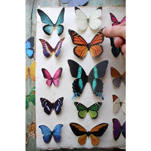 Assorted Realistic Butterflies Paper or Sticker Pre-Cut Choose Your Quantity image 1