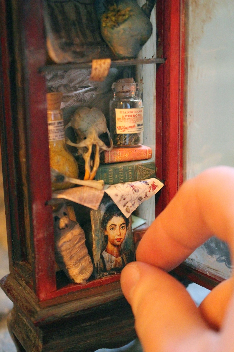 May include: A miniature, antique-style cabinet with a red frame, housing various curiosities. Items include a skull, potion bottles, small books, and a portrait. A jar labeled "POISON" is visible. The cabinet is on a decorative stand.
