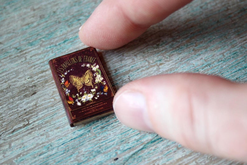 May include: Miniature book with a dark brown cover featuring the text "LES PAPILLONS DE FRANCE" and a gold butterfly illustration. The book is surrounded by a floral design with white and colorful accents. The book is held between two fingers.