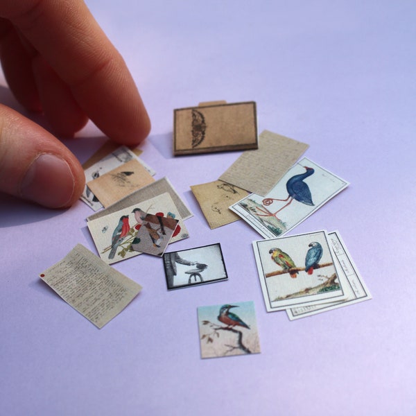 Cartella antica in miniatura per birdwatcher