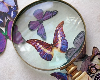 Assorted Realistic Purple Butterflies - Paper or Sticker, Pre-Cut, Choose Your Quantity - Photo Props, Home Decor, Party Favor