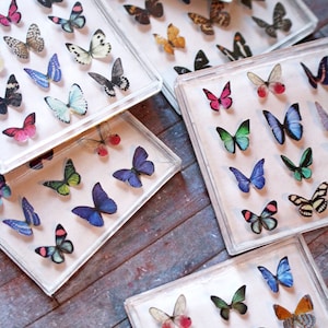 Miniature Butterfly Collection Original Artwork 3D Butterflies Dollhouse Decor 1-Inch Scale Miniatures image 2