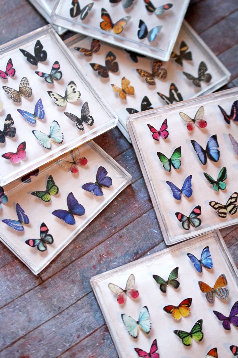 Miniature Butterfly Collection Original Artwork 3D Butterflies Dollhouse Decor 1-Inch Scale Miniatures image 2