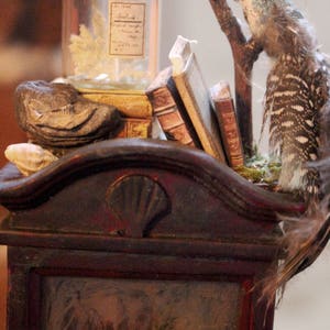 May include: A miniature antique display featuring a glass jar with a cork stopper and a label, small books, a decorative bird, and a dark wooden cabinet. The bird has blue and brown feathers. The display has a vintage aesthetic.
