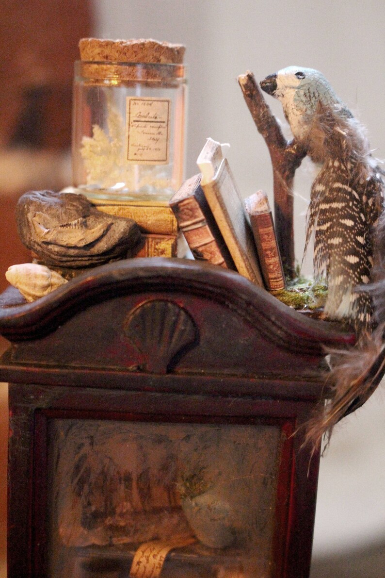May include: A miniature antique display featuring a glass jar with a cork stopper and a label, small books, a decorative bird, and a dark wooden cabinet. The bird has blue and brown feathers. The display has a vintage aesthetic.