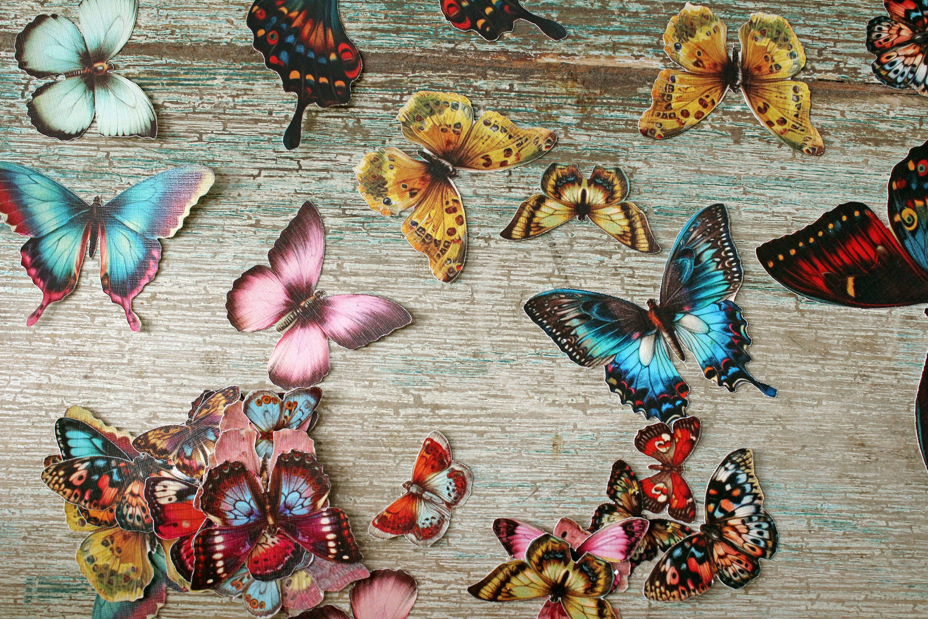 Antique Paper Butterflies: Assorted Pre-cut Photo Props or Adhesive ...