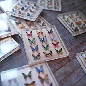 Miniature Butterfly Collection Original Artwork 3D Butterflies Dollhouse Decor 1-Inch Scale Miniatures image 4