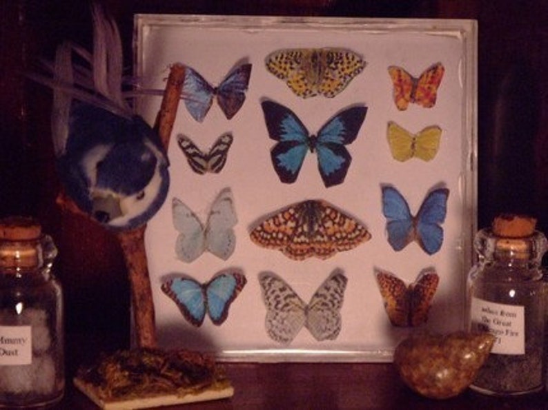 Miniature Butterfly Collection Original Artwork 3D Butterflies Dollhouse Decor 1-Inch Scale Miniatures image 8